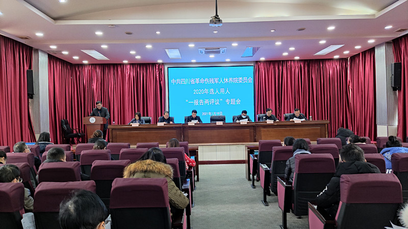 一报告两评议.